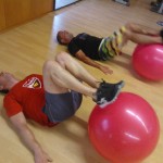 Training fit Entrenador personal pamplona